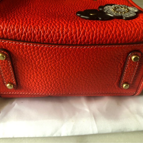 🌹 RARE Coach Rogue 17 with Custom Tea Roses - Picture 4 of 12